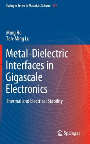 Könyv Metal-Dielectric Interfaces in Gigascale Electronics Ming He