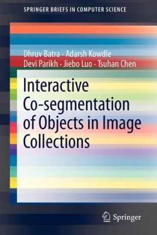 Book Interactive Co-segmentation of Objects in Image Collections Dhruv Batra