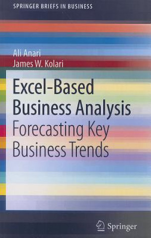Könyv Excel-Based Business Analysis Ali Anari
