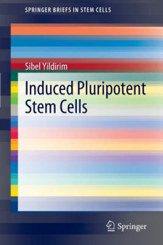 Könyv Induced Pluripotent Stem Cells Sibel Yildirim