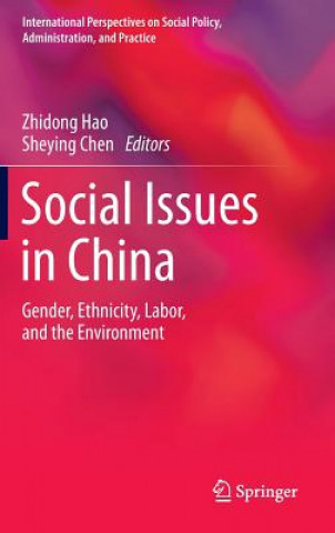 Kniha Social Issues in China Zhidong Hao