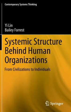 Book Systemic Structure Behind Human Organizations Yi Lin