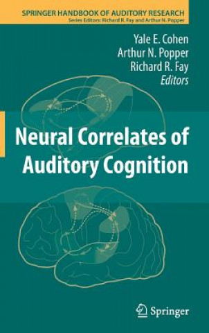 Carte Neural Correlates of Auditory Cognition Yale Cohen