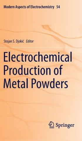 Kniha Electrochemical Production of Metal Powders Stojan S. Djokic