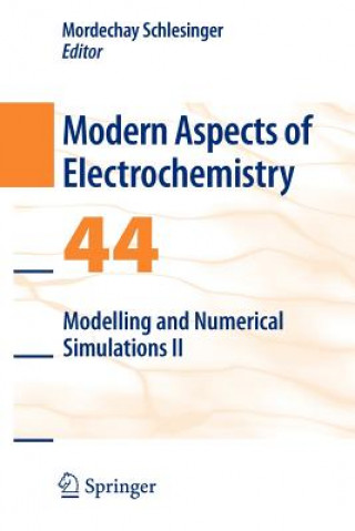 Könyv Modelling and Numerical Simulations II Mordechay Schlesinger