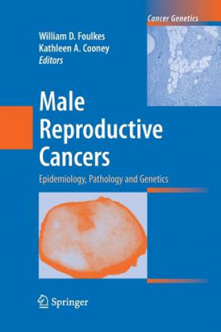 Könyv Male Reproductive Cancers William D. Foulkes