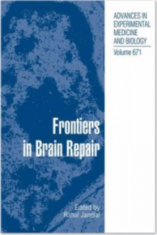 Kniha Frontiers in Brain Repair Rahul Jandial