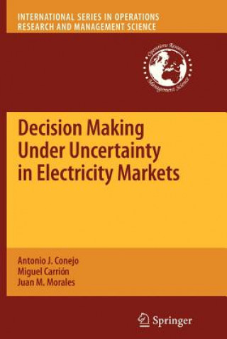 Könyv Decision Making Under Uncertainty in Electricity Markets Antonio J. Conejo