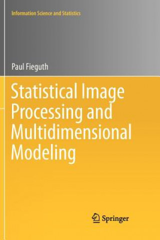 Kniha Statistical Image Processing and Multidimensional Modeling Paul Fieguth