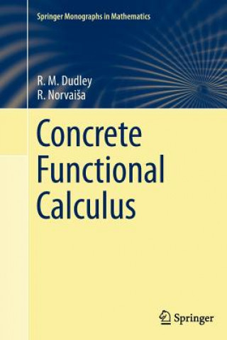 Kniha Concrete Functional Calculus R. M. Dudley