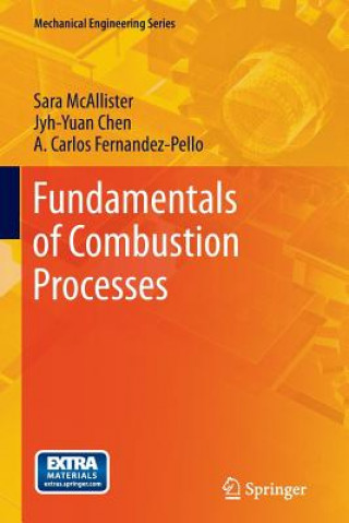 Kniha Fundamentals of Combustion Processes Sara McAllister