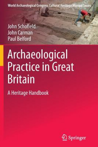 Kniha Archaeological Practice in Great Britain John Schofield