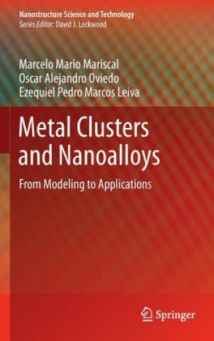 Książka Metal Clusters and Nanoalloys Marcelo Mario Mariscal