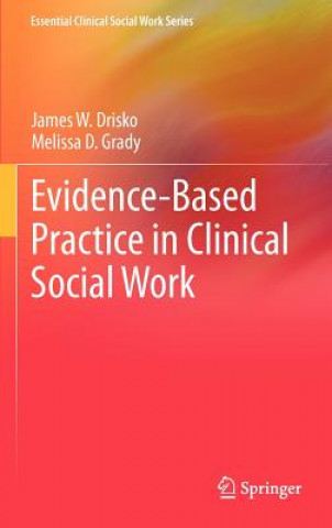 Книга Evidence-Based Practice in Clinical Social Work James W. Drisko