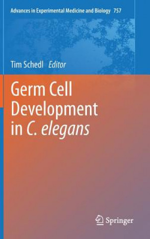 Kniha Germ Cell Development in C. elegans Tim Schedl