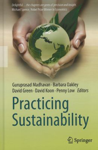 Книга Practicing Sustainability Guruprasad Madhavan