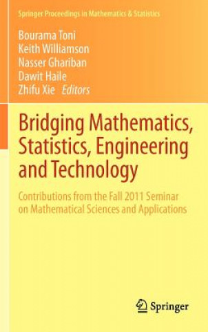 Kniha Bridging Mathematics, Statistics, Engineering and Technology Bourama Toni