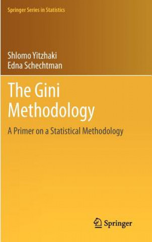 Kniha Gini Methodology Shlomo Yitzhaki