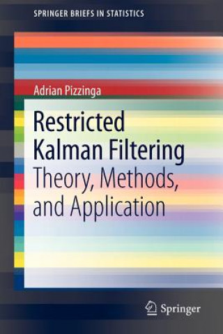 Carte Restricted Kalman Filtering Adrian Pizzinga
