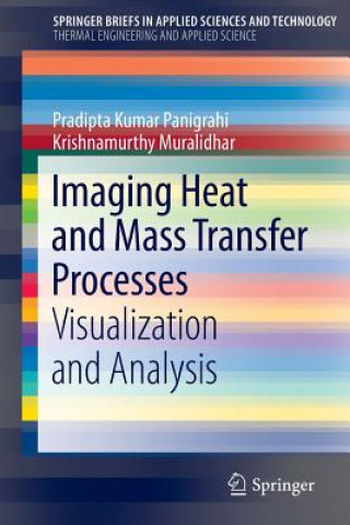 Kniha Imaging Heat and Mass Transfer Processes Pradipta Kumar Panigrahi