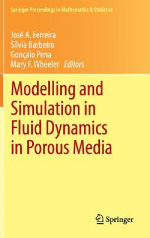 Książka Modelling and Simulation in Fluid Dynamics in Porous Media José A. Ferreira