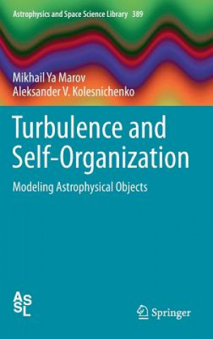 Kniha Turbulence and Self-Organization Mikhail Y. Marov