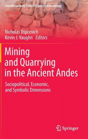 Könyv Mining and Quarrying in the Ancient Andes Nicholas Tripcevich