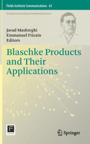 Kniha Blaschke Products and Their Applications Javad Mashreghi