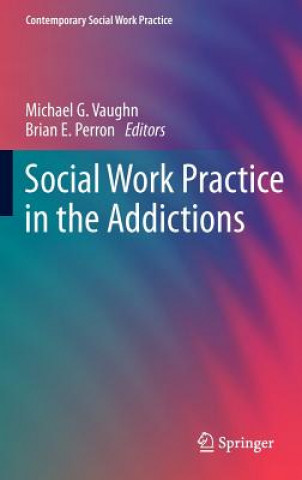 Kniha Social Work Practice in the Addictions Michael G. Vaughn