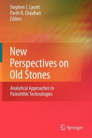 Carte New Perspectives on Old Stones Stephen Lycett