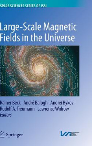 Kniha Large-scale Magnetic Fields in the Universe Rainer Beck