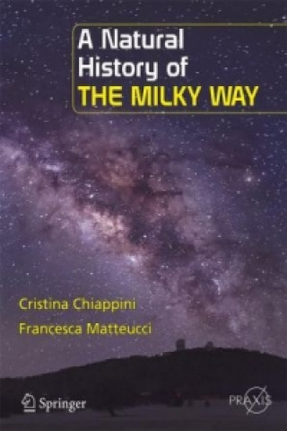 Kniha A Natural History of the Milky Way Cristina Chiappini