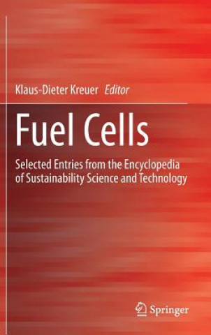 Książka Fuel Cells Klaus-Dieter Kreuer