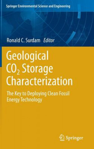 Kniha Geological CO2 Storage Characterization Ronald Surdam