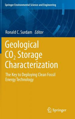 Livre Geological CO2 Storage Characterization Ronald Surdam