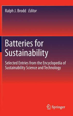 Kniha Batteries for Sustainability Ralph J. Brodd