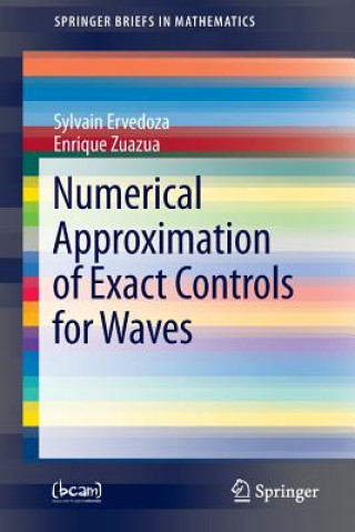 Книга Numerical Approximation of Exact Controls for Waves Sylvain Ervedoza
