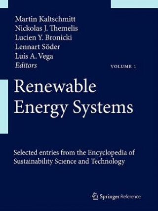 Книга Renewable Energy Systems Martin Kaltschmitt