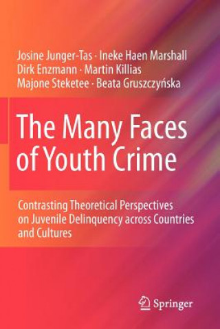 Kniha Many Faces of Youth Crime Josine Junger-Tas