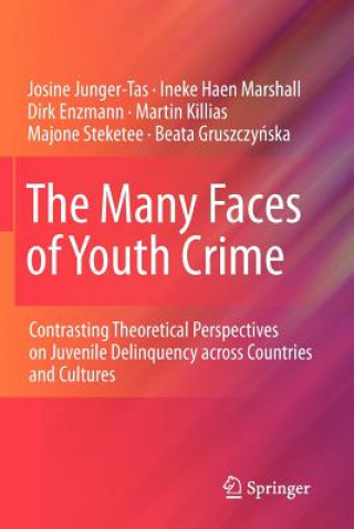 Knjiga Many Faces of Youth Crime Josine Junger-Tas