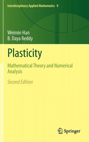Книга Plasticity Weimin Han