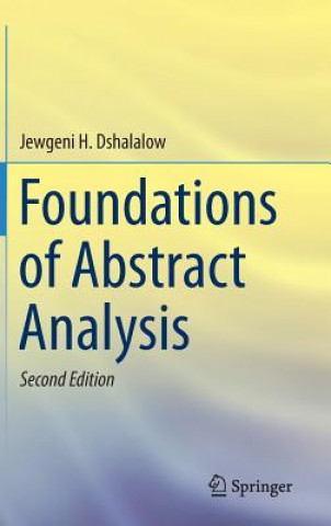 Carte Foundations of Abstract Analysis Jewgeni H. Dshalalow
