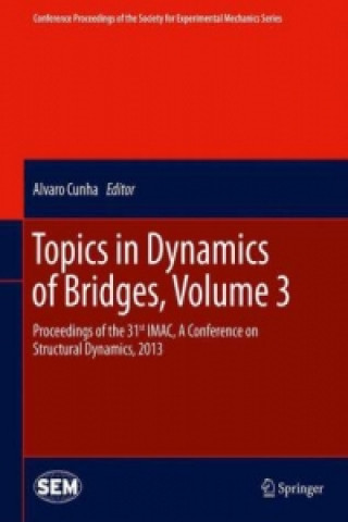 Könyv Topics in Dynamics of Bridges, Volume 3 Alvaro Cunha
