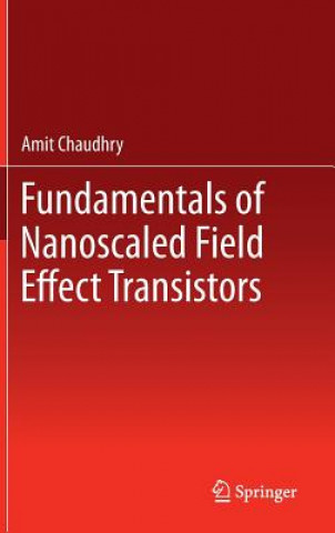 Buch Fundamentals of Nanoscaled Field Effect Transistors Amit Chaudhry