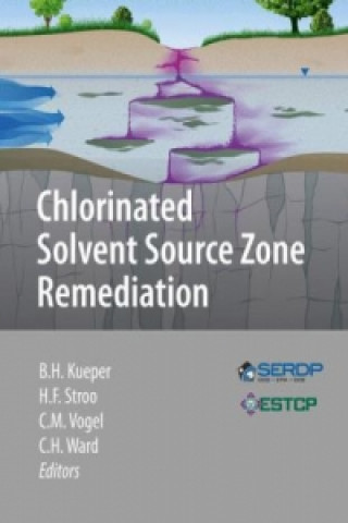 Könyv Chlorinated Solvent Source Zone Remediation Bernard H. Kueper