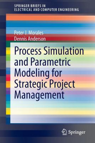 Kniha Process Simulation and Parametric Modeling for Strategic Project Management Peter J. Morales