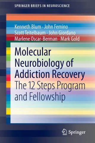 Kniha Molecular Neurobiology of Addiction Recovery Kenneth Blum