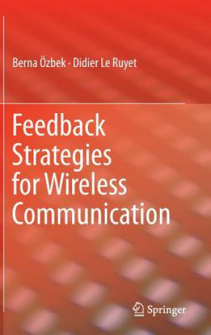 Kniha Feedback Strategies for Wireless Communication Berna Özbek