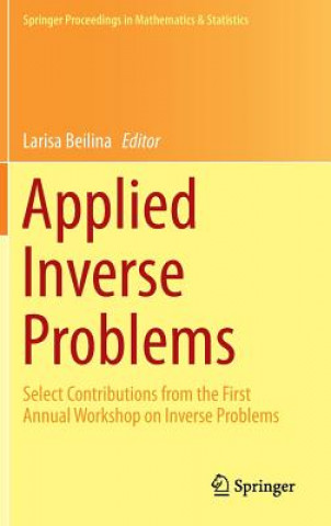 Kniha Applied Inverse Problems Larisa Beilina