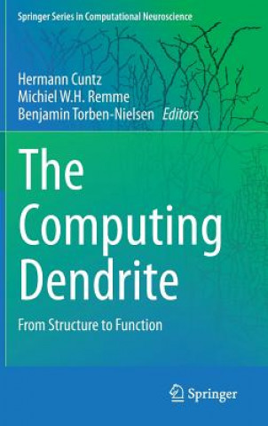 Knjiga Computing Dendrite Benjamin Torben-Nielsen